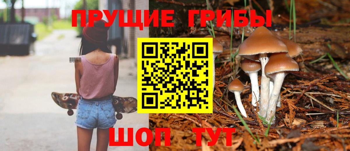 Псилоцибиновые грибы Psilocybe  Вход с VPN  Воркута 